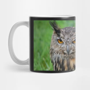 european eagle owl Mug